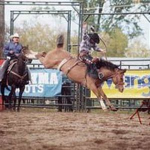 Meet your Posher, Edward